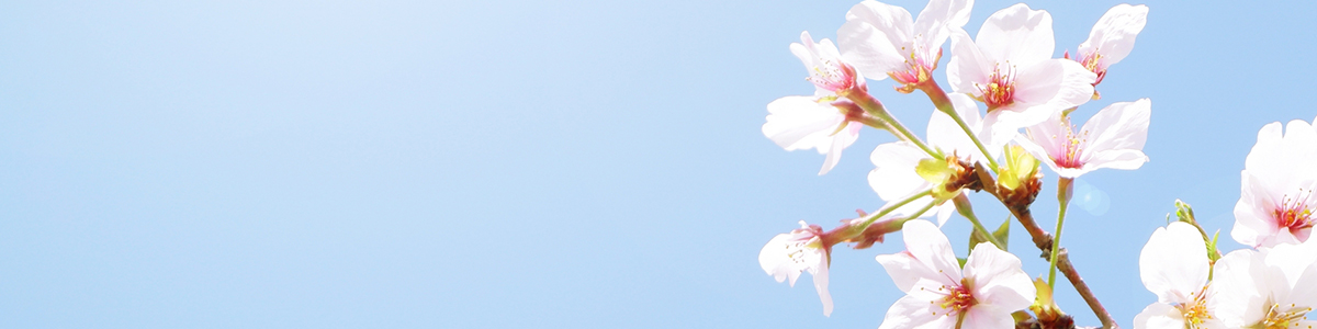 学校案内｜日本アジア国際教育センター